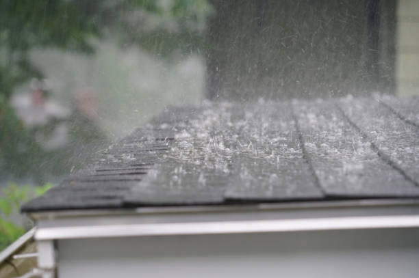 Best Storm Damage Roof Repair  in West Orange, TX