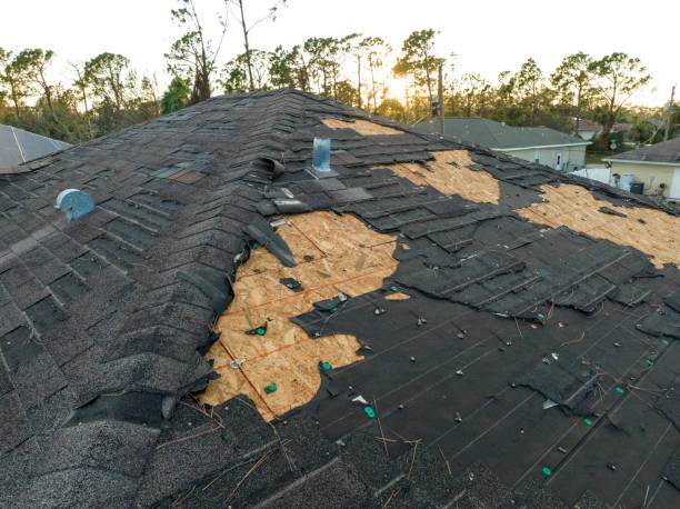 Best Green or Eco-Friendly Roofing Solutions  in West Orange, TX