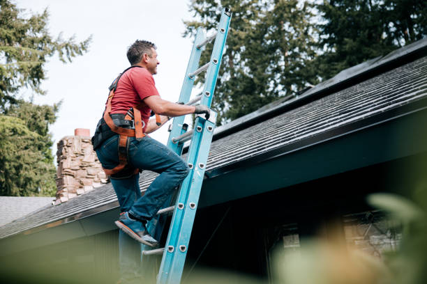 Best Chimney Flashing Repair  in West Orange, TX